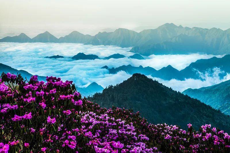 为什么医保断交一年就在湘税社保交不了?游戏画面